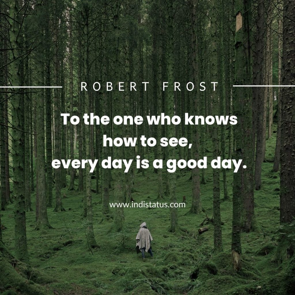 To the one who knows how to see, every day is a good day. - Robert Frost