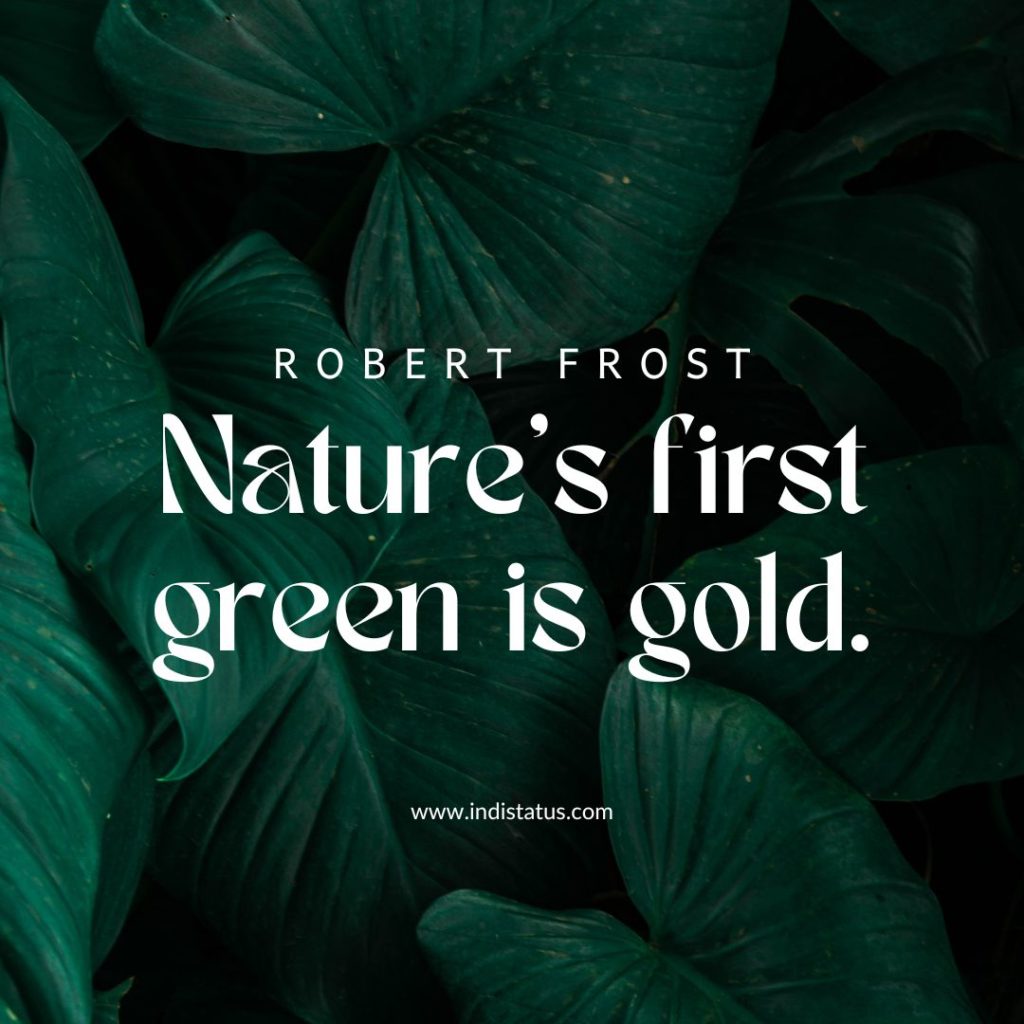 Nature's first green is gold. - Robert Frost